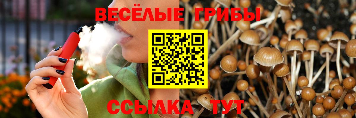 Псилоцибиновые грибы Magic Shrooms Балабаново